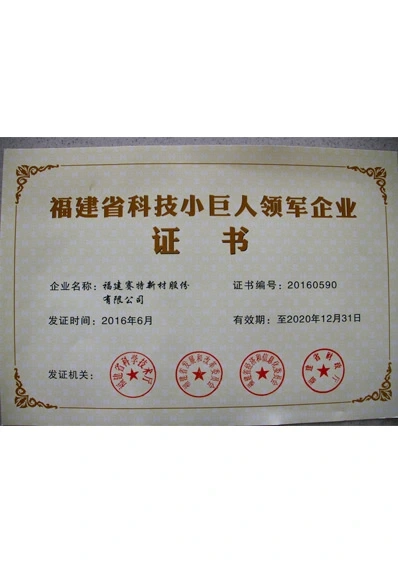 fujian province science and technology little giant leading