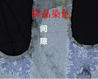 78514a4eab2e654a9351db4577439ed4