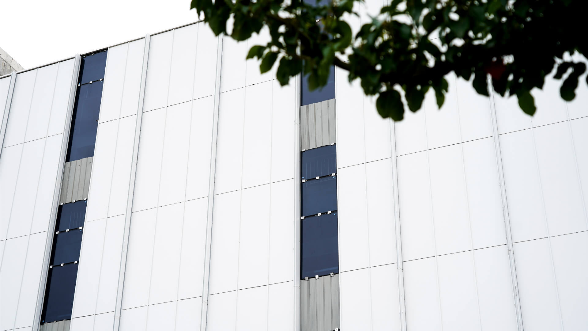 Bibo Biotech (2)