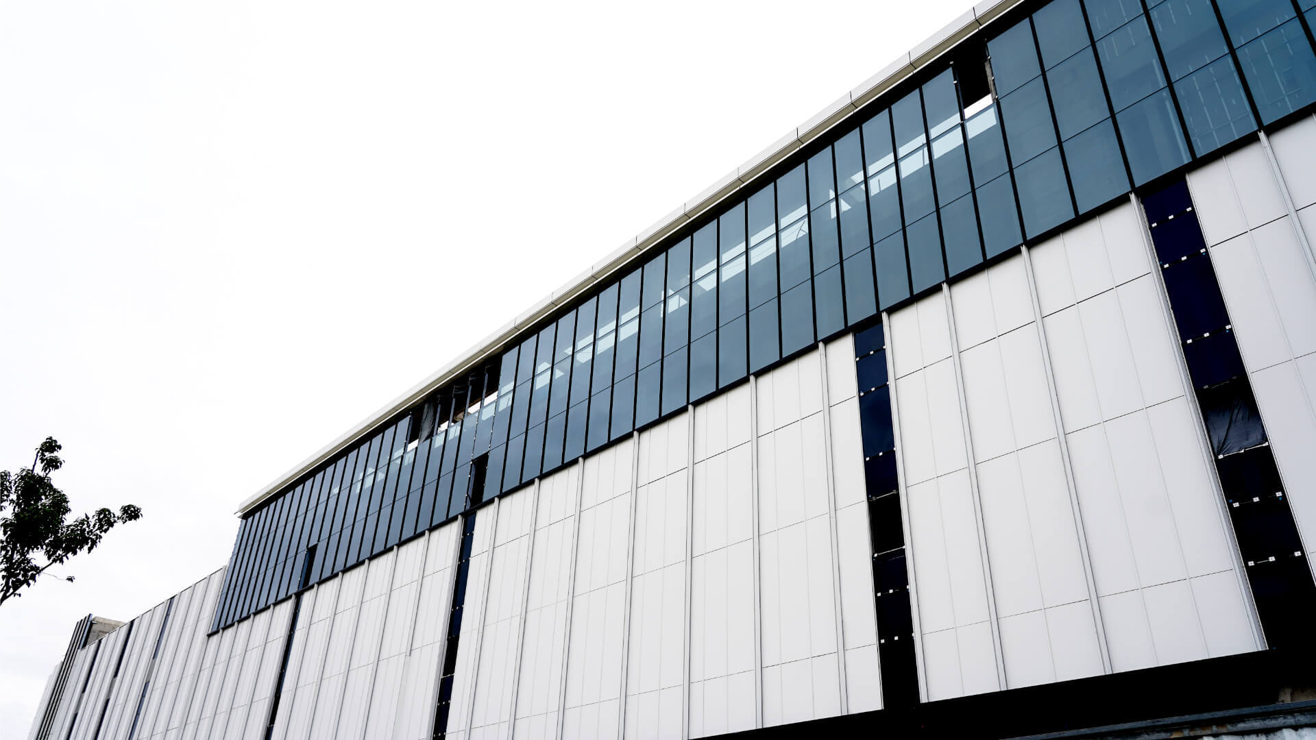 Bibo Biotech (3)