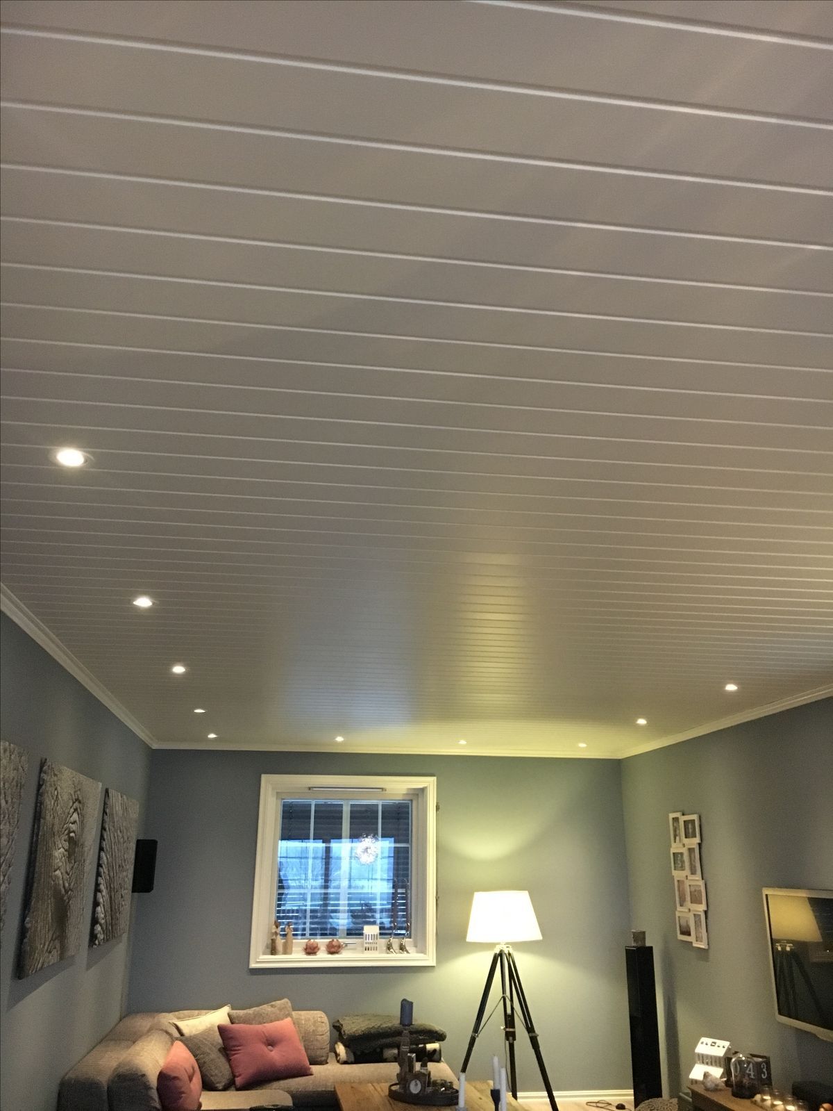 pvc interior wall and ceiling liner panel