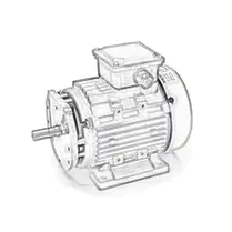 single phase induction motor line