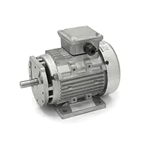 single phase induction motor