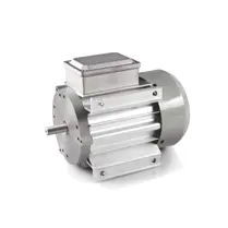 three phase induction motor