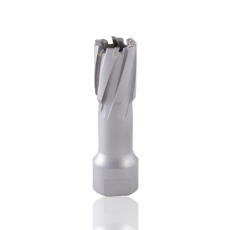 weldon shank tungsten carbide tip annular cutter