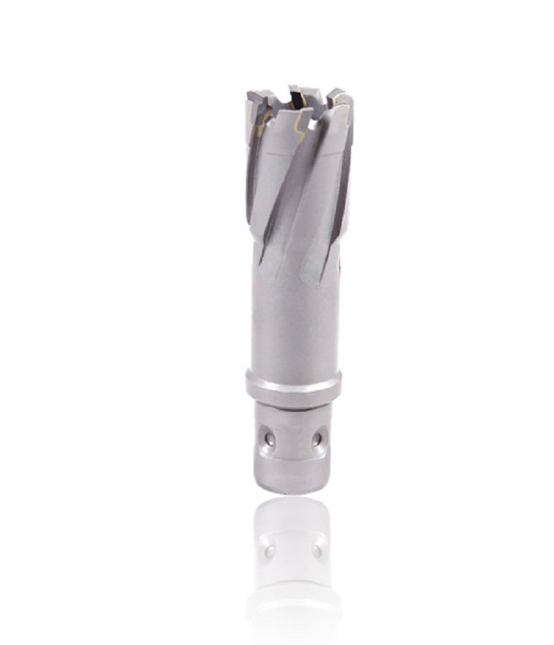tct annular cutter with fein shank