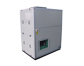 commercial fresh air ventilator vertical machine series (Ⅰ)