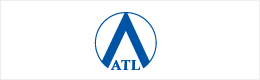 a11