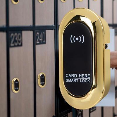 Electronic Lock - image 1